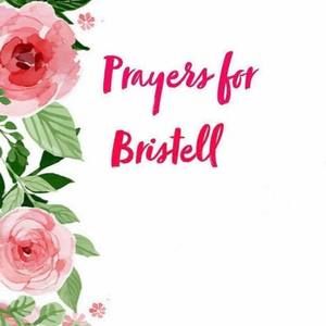 Meet your Posher, Bo